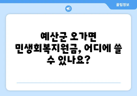 충청남도 예산군 오가면 민생회복지원금 | 신청 | 신청방법 | 대상 | 지급일 | 사용처 | 전국민 | 이재명 | 2024