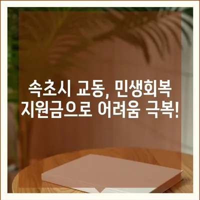 강원도 속초시 교동 민생회복지원금 | 신청 | 신청방법 | 대상 | 지급일 | 사용처 | 전국민 | 이재명 | 2024