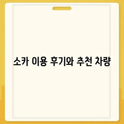 대전시 서구 월평3동 렌트카 가격비교 | 리스 | 장기대여 | 1일비용 | 비용 | 소카 | 중고 | 신차 | 1박2일 2024후기