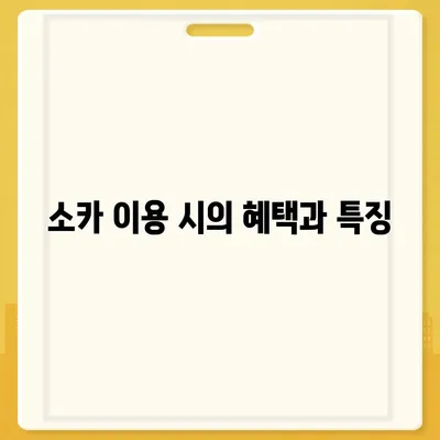 대구시 동구 신천3동 렌트카 가격비교 | 리스 | 장기대여 | 1일비용 | 비용 | 소카 | 중고 | 신차 | 1박2일 2024후기