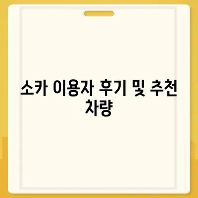 서울시 성동구 옥수동 렌트카 가격비교 | 리스 | 장기대여 | 1일비용 | 비용 | 소카 | 중고 | 신차 | 1박2일 2024후기