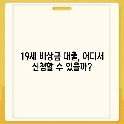 만 19세 비상금 대출 신청, 어디서 어떻게? | 비상금 대출, 19세 대출, 신청 방법, 주요 조건