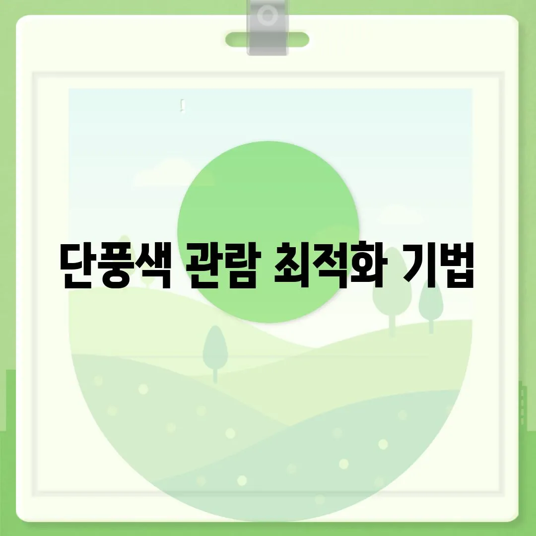 단풍색 관람 최적화 기법