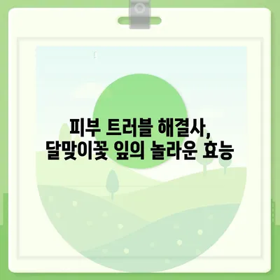 달맞이꽃 잎의 놀라운 효능 7가지 | 건강, 피부, 항염증, 달맞이꽃, 약초, 천연