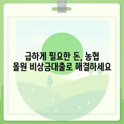 농협 올원 비상금대출, 급할 때 바로 받는 방법 | 비상금, 대출, 금리, 신청