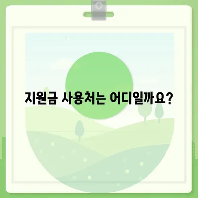 광주시 동구 서남동 민생회복지원금 | 신청 | 신청방법 | 대상 | 지급일 | 사용처 | 전국민 | 이재명 | 2024