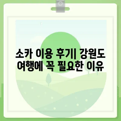 강원도 평창군 방림면 렌트카 가격비교 | 리스 | 장기대여 | 1일비용 | 비용 | 소카 | 중고 | 신차 | 1박2일 2024후기