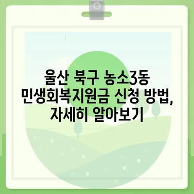 울산시 북구 농소3동 민생회복지원금 | 신청 | 신청방법 | 대상 | 지급일 | 사용처 | 전국민 | 이재명 | 2024