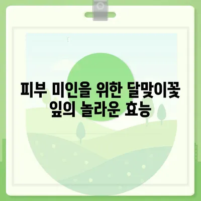 달맞이꽃 잎의 놀라운 효능 7가지| 건강, 피부, 그리고 미용까지! | 달맞이꽃, 잎 효능, 건강 효과, 피부 효능, 미용 효과