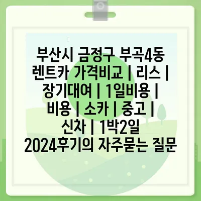 부산시 금정구 부곡4동 렌트카 가격비교 | 리스 | 장기대여 | 1일비용 | 비용 | 소카 | 중고 | 신차 | 1박2일 2024후기