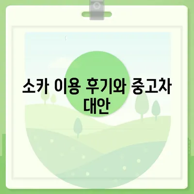 충청북도 청주시 흥덕구 신봉동 렌트카 가격비교 | 리스 | 장기대여 | 1일비용 | 비용 | 소카 | 중고 | 신차 | 1박2일 2024후기