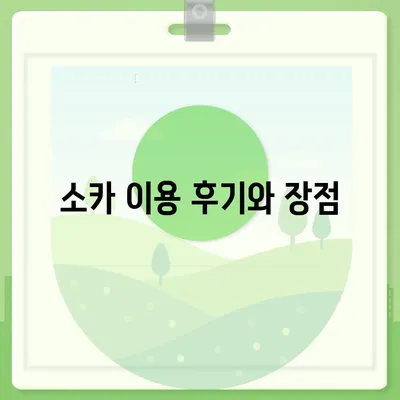 세종시 세종특별자치시 아름동 렌트카 가격비교 | 리스 | 장기대여 | 1일비용 | 비용 | 소카 | 중고 | 신차 | 1박2일 2024후기