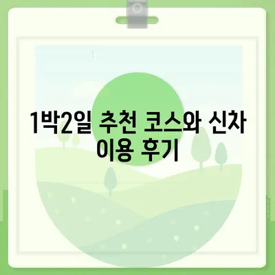 강원도 원주시 호저면 렌트카 가격비교 | 리스 | 장기대여 | 1일비용 | 비용 | 소카 | 중고 | 신차 | 1박2일 2024후기