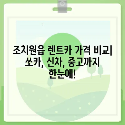 세종시 세종특별자치시 조치원읍 렌트카 가격비교 | 리스 | 장기대여 | 1일비용 | 비용 | 소카 | 중고 | 신차 | 1박2일 2024후기