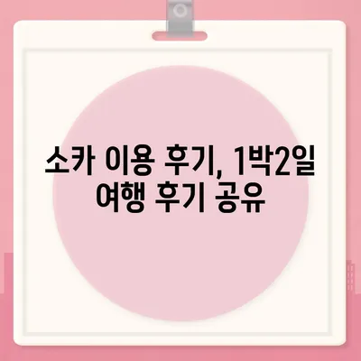 강원도 영월군 북면 렌트카 가격비교 | 리스 | 장기대여 | 1일비용 | 비용 | 소카 | 중고 | 신차 | 1박2일 2024후기