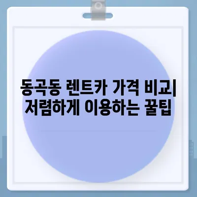 광주시 광산구 동곡동 렌트카 가격비교 | 리스 | 장기대여 | 1일비용 | 비용 | 소카 | 중고 | 신차 | 1박2일 2024후기