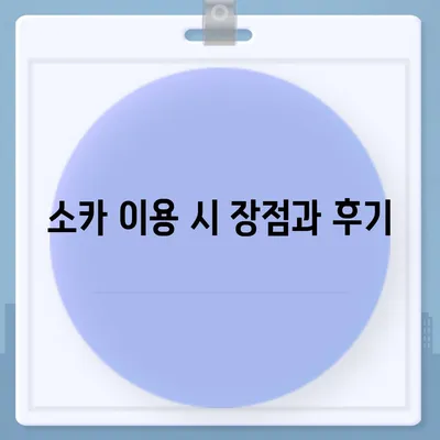 충청북도 영동군 영동읍 렌트카 가격비교 | 리스 | 장기대여 | 1일비용 | 비용 | 소카 | 중고 | 신차 | 1박2일 2024후기