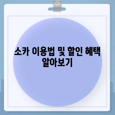 충청남도 서천군 시초면 렌트카 가격비교 | 리스 | 장기대여 | 1일비용 | 비용 | 소카 | 중고 | 신차 | 1박2일 2024후기