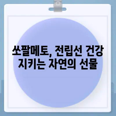 쏘팔메토 효능 총정리| 전립선 건강, 탈모 예방, 남성 호르몬까지 | 건강 정보, 남성 건강, 자연 요법