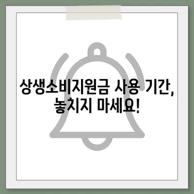 상생소비지원금 사용처