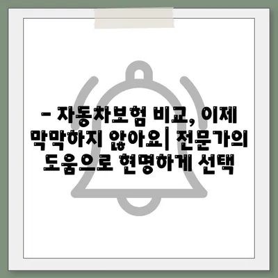 자동차보험 비교