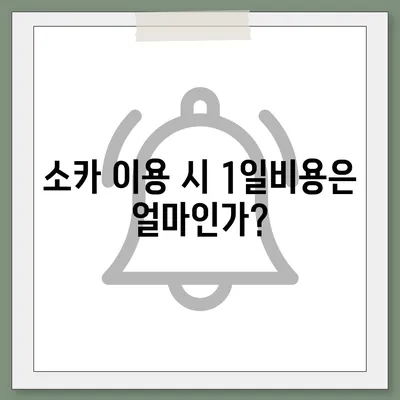 대구시 서구 내당1동 렌트카 가격비교 | 리스 | 장기대여 | 1일비용 | 비용 | 소카 | 중고 | 신차 | 1박2일 2024후기