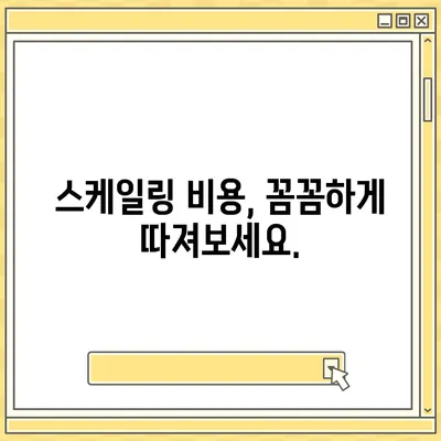 스케일링 가격 비교 분석| 무엇을 고려해야 할까요? | 스케일링 비용, 가격 책정, 스케일링 서비스