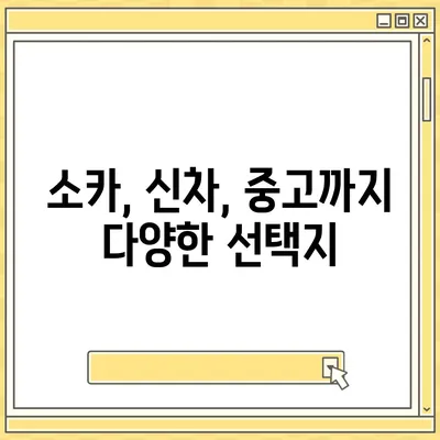 전라북도 김제시 금산면 렌트카 가격비교 | 리스 | 장기대여 | 1일비용 | 비용 | 소카 | 중고 | 신차 | 1박2일 2024후기