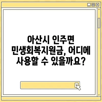 충청남도 아산시 인주면 민생회복지원금 | 신청 | 신청방법 | 대상 | 지급일 | 사용처 | 전국민 | 이재명 | 2024