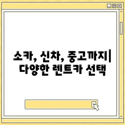 대구시 달서구 본리동 렌트카 가격비교 | 리스 | 장기대여 | 1일비용 | 비용 | 소카 | 중고 | 신차 | 1박2일 2024후기