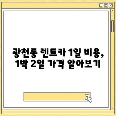 광주시 서구 광천동 렌트카 가격비교 | 리스 | 장기대여 | 1일비용 | 비용 | 소카 | 중고 | 신차 | 1박2일 2024후기