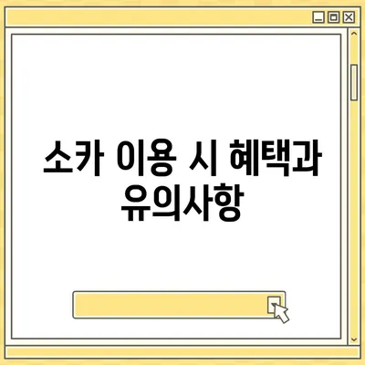 대전시 동구 가양2동 렌트카 가격비교 | 리스 | 장기대여 | 1일비용 | 비용 | 소카 | 중고 | 신차 | 1박2일 2024후기