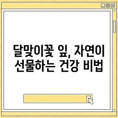 달맞이꽃 잎의 놀라운 효능| 건강, 미용, 그리고 당신의 삶을 위한 특별한 선물 | 달맞이꽃, 효능, 건강, 미용, 잎, 차, 활용법