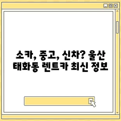 울산시 중구 태화동 렌트카 가격비교 | 리스 | 장기대여 | 1일비용 | 비용 | 소카 | 중고 | 신차 | 1박2일 2024후기