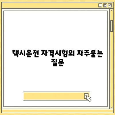 택시운전 자격시험