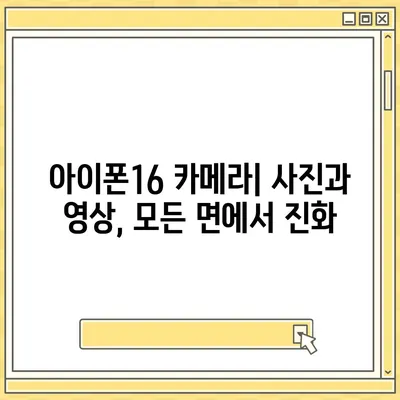 아이폰16 카메라 | 속도와 선명도 모두 극대화