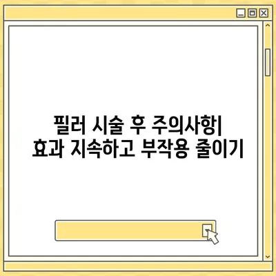 필러 가격 & 부작용 완벽 정리| 종류별 비교 분석 | 필러 시술, 가격 정보, 부작용 종류, 필러 추천