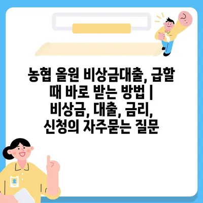 농협 올원 비상금대출, 급할 때 바로 받는 방법 | 비상금, 대출, 금리, 신청