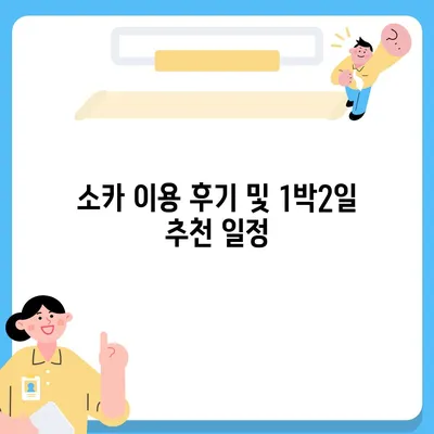 대구시 서구 평리6동 렌트카 가격비교 | 리스 | 장기대여 | 1일비용 | 비용 | 소카 | 중고 | 신차 | 1박2일 2024후기