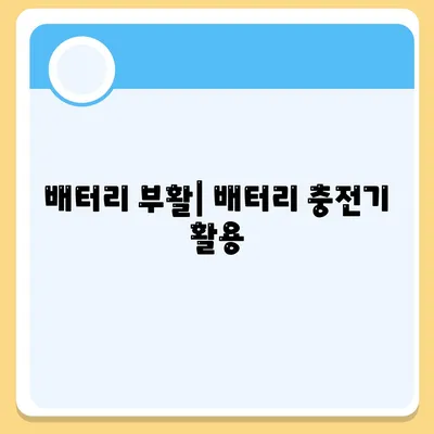 배터리 부활| 배터리 충전기 활용