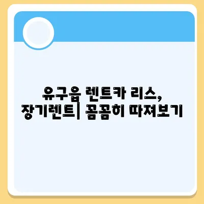 충청남도 공주시 유구읍 렌트카 가격비교 | 리스 | 장기대여 | 1일비용 | 비용 | 소카 | 중고 | 신차 | 1박2일 2024후기