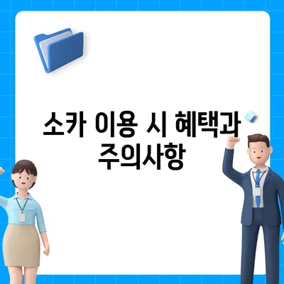 세종시 세종특별자치시 나성동 렌트카 가격비교 | 리스 | 장기대여 | 1일비용 | 비용 | 소카 | 중고 | 신차 | 1박2일 2024후기