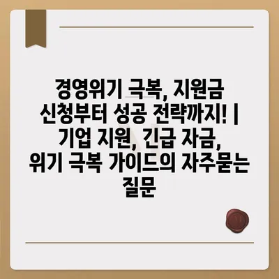 경영위기 극복, 지원금 신청부터 성공 전략까지! | 기업 지원, 긴급 자금, 위기 극복 가이드