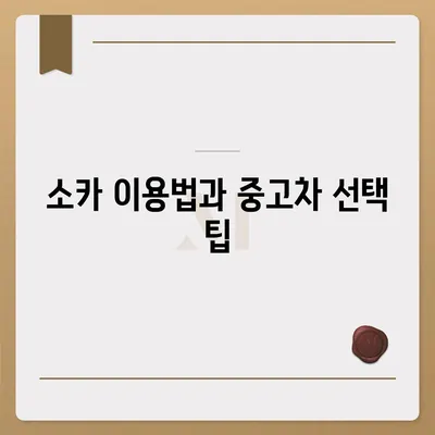 경상남도 의령군 봉수면 렌트카 가격비교 | 리스 | 장기대여 | 1일비용 | 비용 | 소카 | 중고 | 신차 | 1박2일 2024후기