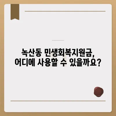 부산시 강서구 녹산동 민생회복지원금 | 신청 | 신청방법 | 대상 | 지급일 | 사용처 | 전국민 | 이재명 | 2024