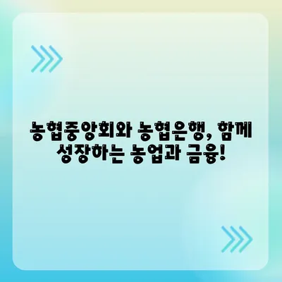 NH 농협중앙회 농협은행 다른점