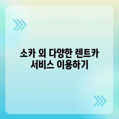 대구시 서구 평리2동 렌트카 가격비교 | 리스 | 장기대여 | 1일비용 | 비용 | 소카 | 중고 | 신차 | 1박2일 2024후기