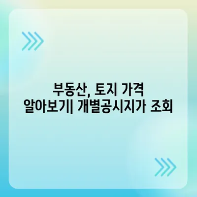 2021년 개별공시지가 조회 방법 & 확인 가이드 | 부동산, 토지, 공시지가, 조회, 확인