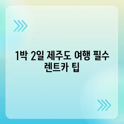 제주도 제주시 용담2동 렌트카 가격비교 | 리스 | 장기대여 | 1일비용 | 비용 | 소카 | 중고 | 신차 | 1박2일 2024후기