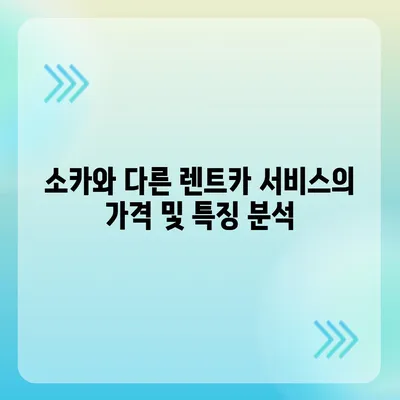 부산시 수영구 망미2동 렌트카 가격비교 | 리스 | 장기대여 | 1일비용 | 비용 | 소카 | 중고 | 신차 | 1박2일 2024후기